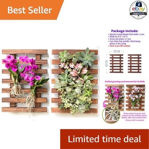 Wall planter 40cm pack - planter,