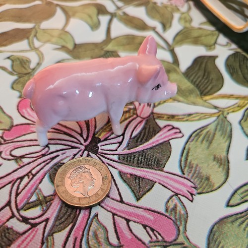 Vintage miniature pig