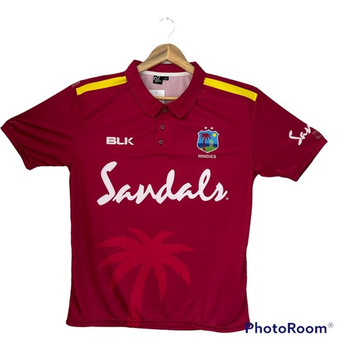 West indies 2019 odi cricket - indies,