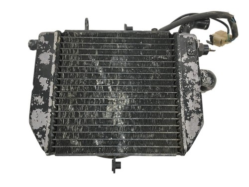 Lower water radiator - water,
