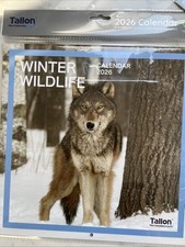Tallon 2026 Winter Wildlife