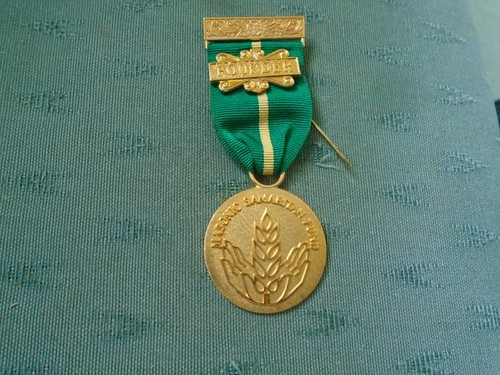 Founder jewel masonic - jewel,