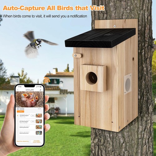 Smart bird house camera - bird,