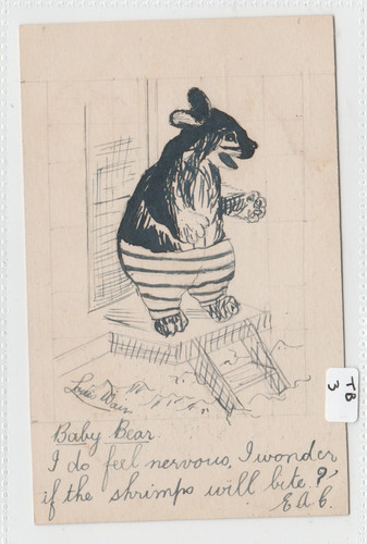 Teddy bear baby - bear,