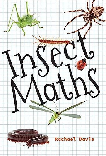 Insect maths fluency big - insect,
