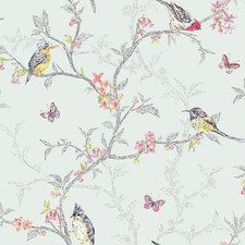 PHOEBE BIRDS WALLPAPER -