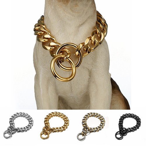 Large dog chain - dog, puppy