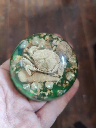 Vintage resin paperweight with - vintage,