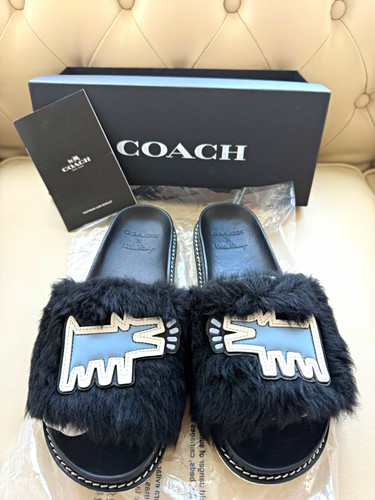 Coach keith haring slide - haring,