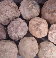 10 LBS Unopened Geodes Bulk