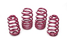 Vogtland Lowering Springs for