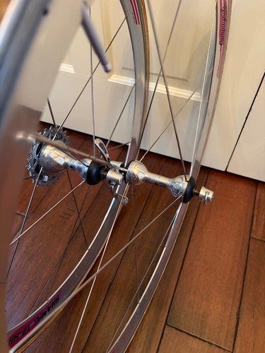 Campagnolo shamal hpw - campagnolo, 12