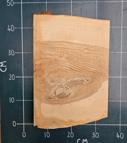 Kiln dried planed ash - kiln,
