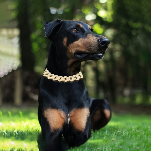 Large dog chain - large,