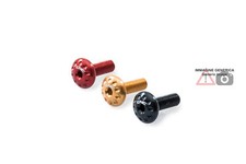 Screws kit Front Mudguard gold