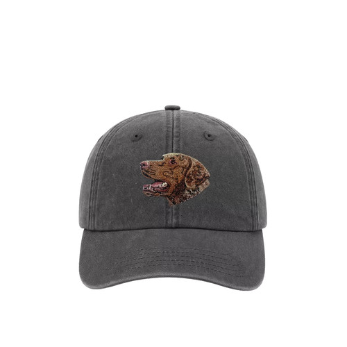 Chesapeake bay retriever - chesapeake,