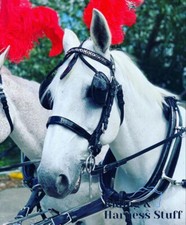 Ideal Equestrian Harness