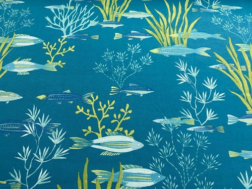Shallows sardines sea foam - shallows,