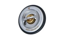 Thermostat without housing