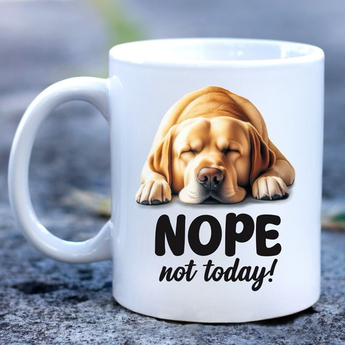 Funny golden labrador dog - funny,