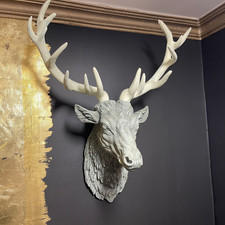 Large Stag head wall hanging