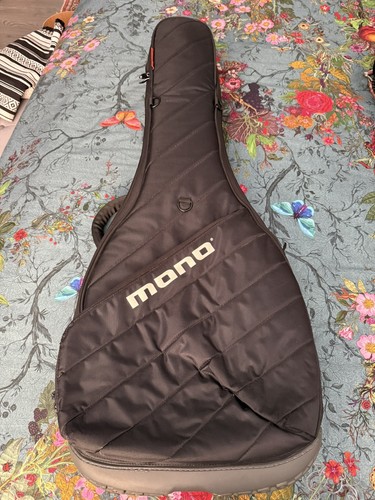 Mono electric guitar - guitar, case