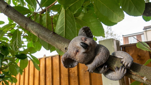 Koala bear resin - bear, tree