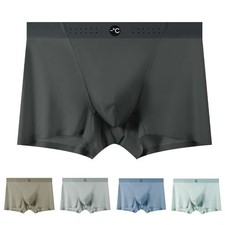 Thin Ice Silk Seamless Boxers