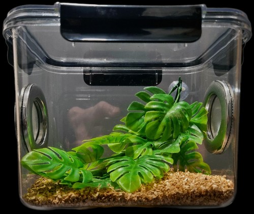 Large flipable jumping spider - large,