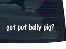 got pot belly pig? CAR DECAL