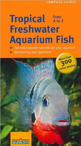 Tropical freshwater aquarium - freshwater,