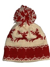 Home Alone Winter Wool Hat