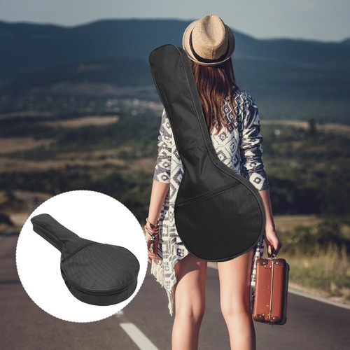 Bowl back mandolin - back,