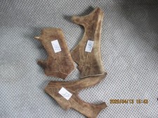 FALLOW DEER ANTLER DOG CHEWS