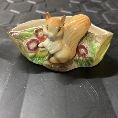 Hornsea fauna royal squirrel - fauna,
