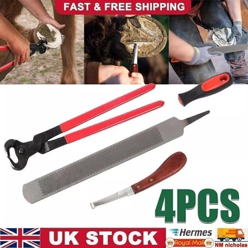 Farriers tools horse hoof - horse,