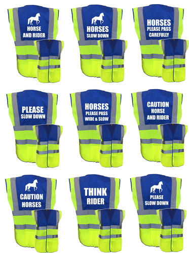 Horse riding vis - riding,