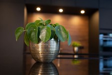 Fabio brass antique metal plant pot, D24cm