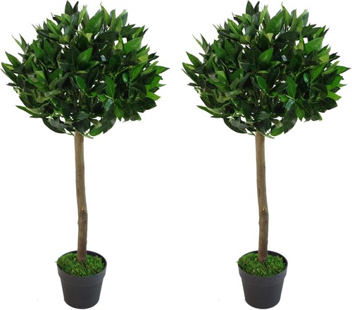 Leaf design pair of - design, uk