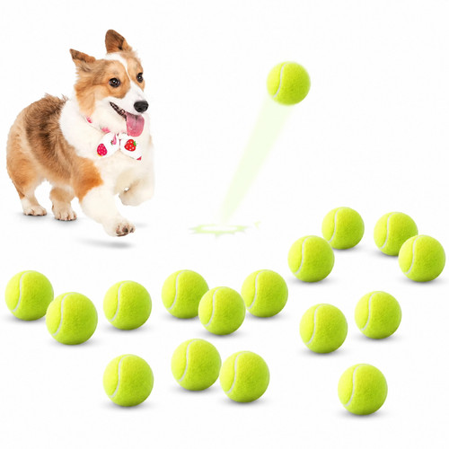 Dog tennis balls pack - tennis,