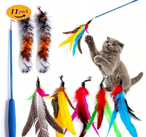 11pcs kitten toy cat feather - 11pcs,