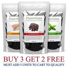 100 Jumbo Charcoal Incense