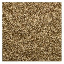 Bucktons canary seed 500g 1kg - canary,