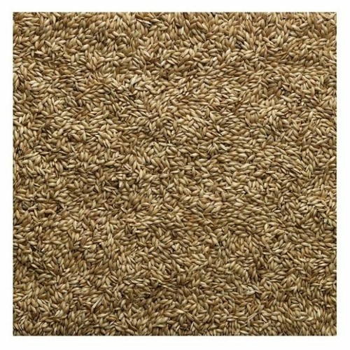 Bucktons canary seed 500g - bucktons,