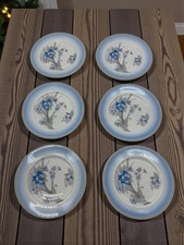 SET of 6 VINTAGE SHELLEY SIDE
