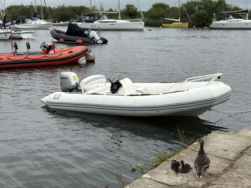 Zodiac rib with - zodiac, 50