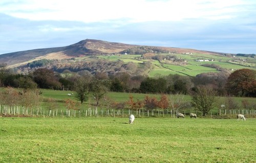 Photo 6x4 grazing land - grazing, the