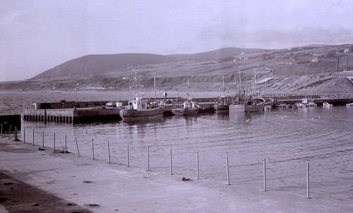 Photo 6x4 helmsdale harbour - 6x4,