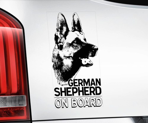 German shepherd car - german,