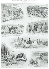 A Day With The Devon & Somerset Staghounds George Herbert Jalland 1908 Print